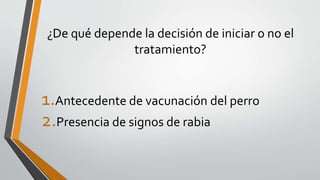 ¿De qué depende la decisión de iniciar o no el
tratamiento?
1.Antecedente de vacunación del perro
2.Presencia de signos de rabia
 