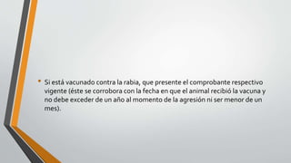 • Si está vacunado contra la rabia, que presente el comprobante respectivo
vigente (éste se corrobora con la fecha en que el animal recibió la vacuna y
no debe exceder de un año al momento de la agresión ni ser menor de un
mes).
 