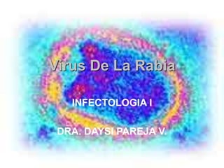 Virus De La Rabia
INFECTOLOGIA I
DRA. DAYSI PAREJA V.
 