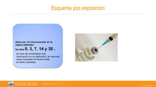 07/05/2023
Esquema pos exposicion
 