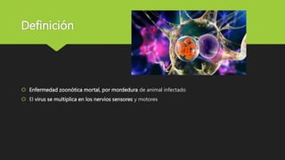 Definición
Enfermedad zoonótica mortal, por mordedura de animal infectado
El virus se multiplica en los nervios sensores y motores