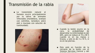 RABIA PRESENTACION CON BASE A EPIDEMIOLOGIA | PPTX