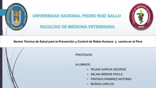Norma Técnica de Salud para la Prevención y Control de Rabia Humana y canina en el Perú
PROFESOR:
ALUMNOS:
• ROJAS GARCIA GEORGE
• MILIAN BRENIS PAOLA
• PINTADO RAMIREZ ANTONIO
• BURGA CARLOS
 