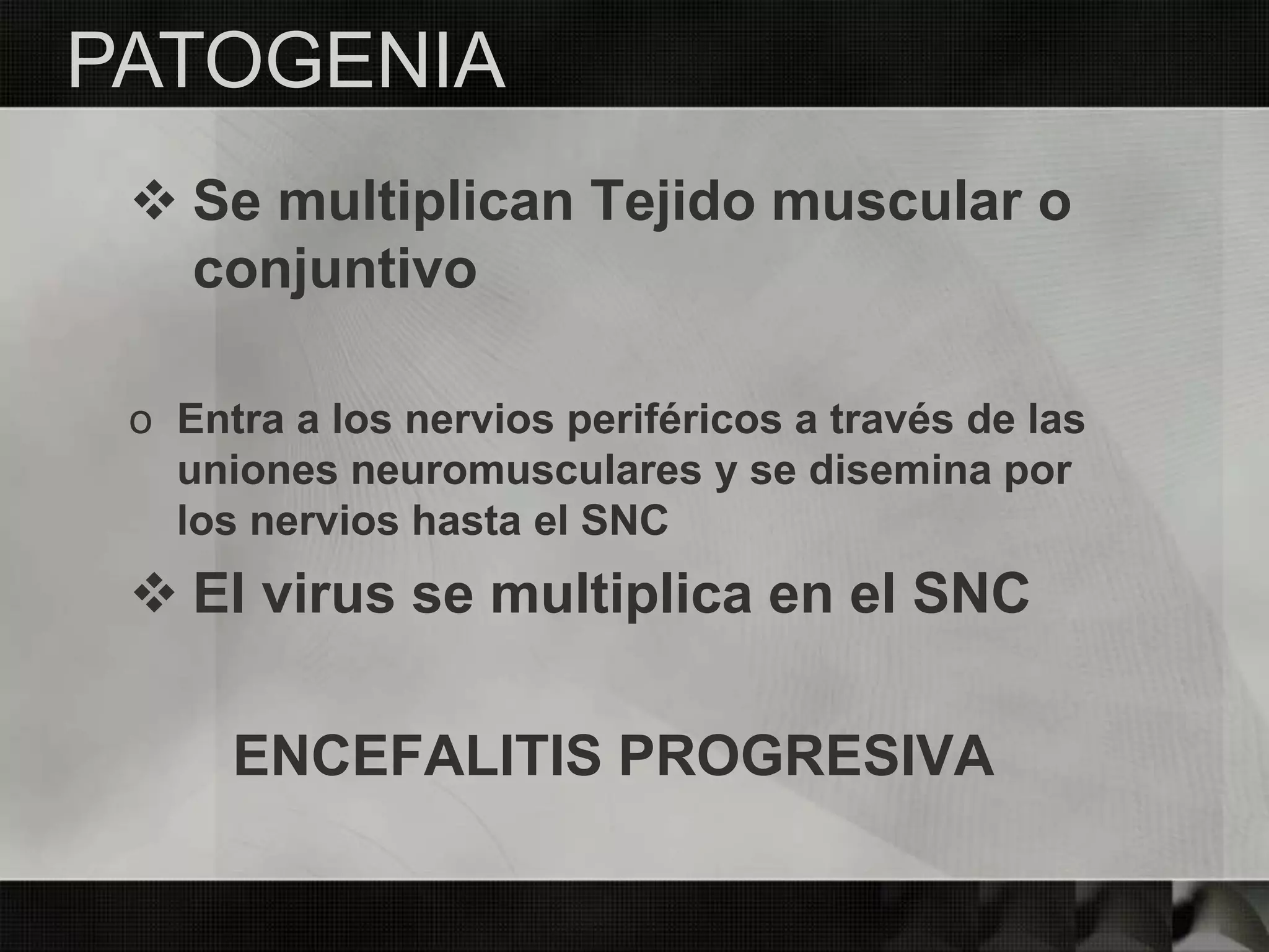  Se multiplican Tejido muscular o
conjuntivo
o Entra a los nervios periféricos a través de las
uniones neuromusculares y se disemina por
los nervios hasta el SNC
 El virus se multiplica en el SNC
ENCEFALITIS PROGRESIVA
PATOGENIA
 