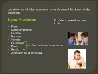 Los síntomas iniciales se parecen a los de otras infecciones virales
sistémicas
Signos Podrómicos
• Fibre
• Malestar general
• Cefalea
• Náusea
• Vómito
• Parestesia
• Dolor
• Prurito
• Alteración de la conducta
Cerca de la zona de inoculación
El pródromo suele durar unos
4 días
 