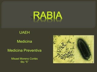 UAEH
Medicina
Medicina Preventiva
Misael Moreno Cortés
6to “5”
 