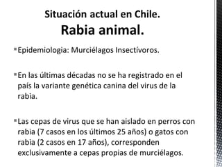 Epidemiologia: Murciélagos Insectívoros. 
En las últimas décadas no se ha registrado en el 
país la variante genética canina del virus de la 
rabia. 
Las cepas de virus que se han aislado en perros con 
rabia (7 casos en los últimos 25 años) o gatos con 
rabia (2 casos en 17 años), corresponden 
exclusivamente a cepas propias de murciélagos. 
 