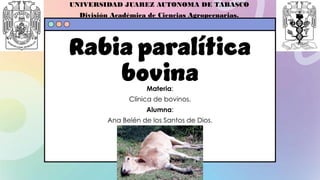 RABIA paralítica bovina Ana Belén de los Santos | PDF