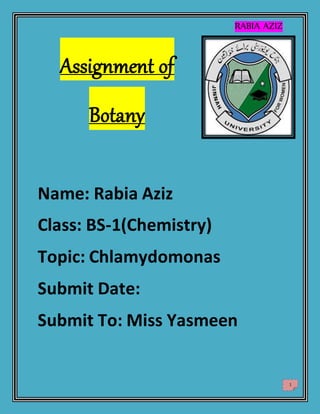 RABIA AZIZ
1
Assignment of
Botany
Name: Rabia Aziz
Class: BS-1(Chemistry)
Topic: Chlamydomonas
Submit Date:
Submit To: Miss Yasmeen
 