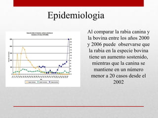 Epidemiologia
Al comparar la rabia canina y
la bovina entre los años 2000
y 2006 puede observarse que
la rabia en la especie bovina
tiene un aumento sostenido,
mientras que la canina se
mantiene en un número
menor a 20 casos desde el
2002
 