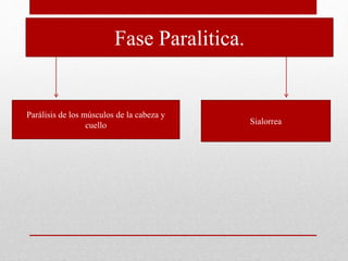 Fase Paralitica.
Parálisis de los músculos de la cabeza y
cuello Sialorrea
 
