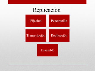 Replicación
Fijación Penetración
Transcripción Replicación
Ensamble
 
