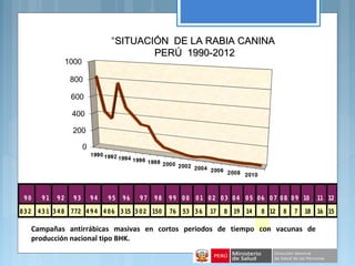 9 0 9 1 9 2 9 3 9 4 9 5 9 6 9 7 9 8 9 9 0 0 0 1 0 2 0 3 0 4 0 5 0 6 0 7 0 8 0 9 10 11 12
8 3 2 4 3 1 3 4 8 772 4 9 4 4 0 6 3 15 3 0 2 150 76 53 3 6 17 8 19 14 8 12 8 7 18 16 15
Campañas antirrábicas masivas en cortos periodos de tiempo con vacunas de
producción nacional tipo BHK.
“SITUACIÓN DE LA RABIA CANINASITUACIÓN DE LA RABIA CANINA
PERÚ 1990-2012PERÚ 1990-2012
 