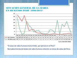SITUACIÓN GENERAL DE LA RABIA
EN HUMANOS PERÚ 1990-2013*
Fuente: ESNZ-DGSP--MINSA
0
5
10
15
20
25
30
35
R-Urbana 33 28 22 32 19 6 8 8 3 2 2 0 0 0 0 1 1 0 0 0 1 1 2 0
R.Silvestre 29 9 0 2 22 15 11 4 6 7 2 2 1 2 8 7 2 24 0 17 13 22 10 1
90 91 92 93 94 95 96 97 98 99 00 01 02 03 04 05 06 7 8 9 10 11 12 13
Recrudecimiento de brotes de rabia humana silvestre en áreas de selva del Perú
“0 casos de rabia humana transmitida  por perros en el Perú”
 