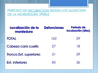 PERIODO DE INCUBACION SEGÚN LOCALIZACION
DE LA MORDEDURA (PERU)
Localización de laLocalización de la
mordeduramordedura
DefuncionesDefunciones Periodo dePeriodo de
Incubación (días)Incubación (días)
TOTALTOTAL 163 29
Cabeza cara cuelloCabeza cara cuello 27 18
Tronco Ext. superioresTronco Ext. superiores 51 29
Ext. inferioresExt. inferiores 85 36
 