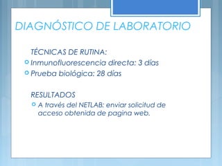 DIAGNÓSTICO DE LABORATORIO
TÉCNICAS DE RUTINA:
 Inmunofluorescencia directa: 3 días
 Prueba biológica: 28 días
RESULTADOS
 A través del NETLAB: enviar solicitud de
acceso obtenida de pagina web.
 