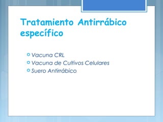 Tratamiento Antirrábico
específico
 Vacuna CRL
 Vacuna de Cultivos Celulares
 Suero Antirrábico
 