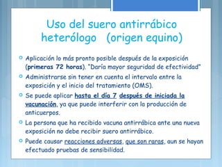 Uso del suero antirrábico
heterólogo (origen equino)
 Aplicación lo más pronto posible después de la exposición
(primeras 72 horas). “Daría mayor seguridad de efectividad”
 Administrarse sin tener en cuenta el intervalo entre la
exposición y el inicio del tratamiento (OMS).
 Se puede aplicar hasta el día 7 después de iniciada la
vacunación, ya que puede interferir con la producción de
anticuerpos.
 La persona que ha recibido vacuna antirrábica ante una nueva
exposición no debe recibir suero antirrábico.
 Puede causar reacciones adversas, que son raras, aun se hayan
efectuado pruebas de sensibilidad.
 
