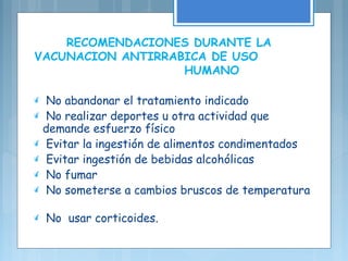 RECOMENDACIONES DURANTE LA
VACUNACION ANTIRRABICA DE USO
HUMANO
 No abandonar el tratamiento indicado
 No realizar deportes u otra actividad que
demande esfuerzo físico
 Evitar la ingestión de alimentos condimentados
 Evitar ingestión de bebidas alcohólicas
 No fumar
 No someterse a cambios bruscos de temperatura
 No usar corticoides.
 