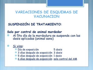 VARIACIONES DE ESQUEMAS DE
VACUNACION
SUSPENSIÓN DE TRATAMIENTO:
Solo por control de animal mordedor
 Al 5to día de la mordedura se suspende con las
dosis aplicadas (animal sano)
 Si vino:
 Día de exposición 5 dosis
 3 días después de exposición 3 dosis
 5 días después de exposición 1 dosis
 6 días después de exposición solo control del AM
 
