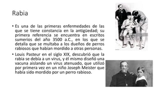 Rabia estud.pdf importante pediatría 2 tx | PDF