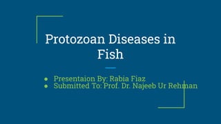 Protozoan Diseases in
Fish
● Presentaion By: Rabia Fiaz
● Submitted To: Prof. Dr. Najeeb Ur Rehman
 