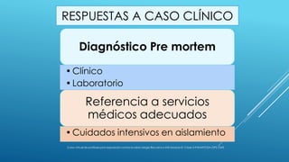 RESPUESTAS A CASO CLÍNICO
Diagnóstico Pre mortem
•Clínico
•Laboratorio
Referencia a servicios
médicos adecuados
•Cuidados intensivos en aislamiento
Curso virtual de profilaxis post exposición contra la rabia-Sergio Recuenco-INS-Modulo III- Clase 3-PANAFTOSA-OPS-OMS
 