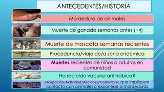 ANTECEDENTES/HISTORIA
Mordedura de animales
Muerte de ganado semanas antes (~4)
Muerte de mascota semanas recientes
Procedencia/viaje de/a zona endémica
Muertes recientes de niños o adultos en
comunidad
Ha recibido vacuna antirrábica?
Ocupación/Actividad/Aficiones/Costumbres que impliquen
contacto con animales o exponerse a mordeduras
Curso virtual de profilaxis post exposición contra la rabia-Sergio Recuenco-INS-Modulo III- Clase 3-PANAFTOSA-OPS-OMS
 