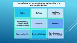 Fiebre Cefalea
Labilidad
emocional
Decaimiento y
cambios en el
comportamiento
Insomnio Anorexia
Nauseas/Vomitos Espasmo laríngeo
Parestesias en el
sitio de la herida
Infectologia Clínica Pediátrica/Napoleon/577-593
Los pródromos generalmente anteceden a la
excitación del SNC
 