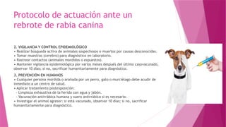 RABIA HUMANA.pptxooooooooooooppppooooooo | PPTX