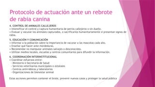 RABIA HUMANA.pptxooooooooooooppppooooooo | PPTX