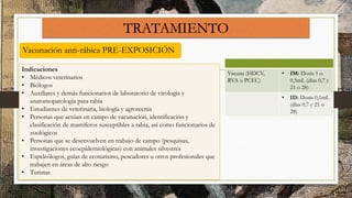 Rabia, Peste y Brucelosis -Medicina tropical.pptx