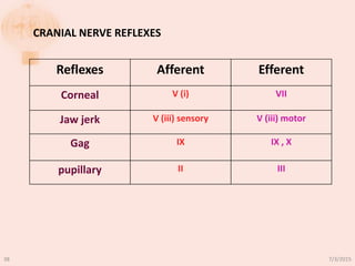 Reflexes Afferent Efferent
Corneal V (i) VII
Jaw jerk V (iii) sensory V (iii) motor
Gag IX IX , X
pupillary II III
CRANIAL NERVE REFLEXES
7/3/201538
 