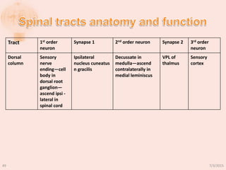 Tract 1st order
neuron
Synapse 1 2nd order neuron Synapse 2 3rd order
neuron
Dorsal
column
Sensory
nerve
ending―cell
body in
dorsal root
ganglion―
ascend ipsi -
lateral in
spinal cord
Ipsilateral
nucleus cuneatus
n gracilis
Decussate in
medulla―ascend
contralaterally in
medial leminiscus
VPL of
thalmus
Sensory
cortex
7/3/201549
 