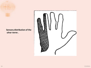 Sensory distribution of the
ulnar nerve .
7/3/201554
 