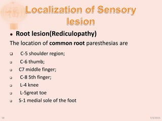  Root lesion(Rediculopathy)
The location of common root paresthesias are
 C-5 shoulder region;
 C-6 thumb;
 C7 middle finger;
 C-8 5th finger;
 L-4 knee
 L-5great toe
 S-1 medial sole of the foot
7/3/201558
 