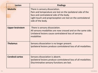 Lesion Findings
Medulla There is sensory dissociation.
Pain and temperature are lost on the ipsilateral side of the
face and contralateral side of the body.
Light touch and proprioception are lost on the contralateral
side of the body.
Upper brainstem There is sensory dissociation.
All sensory modalities are now crossed and on the same side.
Unilateral lesions cause contralateral loss of sensory
modalities
Thalamus Sensory dissociation is no longer present.
Ipsilateral lesions produce contralateral loss of all modalities.
Cerebral cortex Sensory dissociation is absent.
Ipsilateral lesions produce contralateral loss of all modalities.
Discriminative sensory functions are lost.
7/3/201572
 
