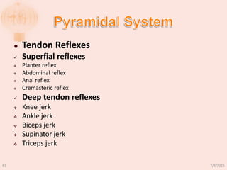  Tendon Reflexes
 Superfial reflexes
 Planter reflex
 Abdominal reflex
 Anal reflex
 Cremasteric reflex
 Deep tendon reflexes
 Knee jerk
 Ankle jerk
 Biceps jerk
 Supinator jerk
 Triceps jerk
7/3/201581
 
