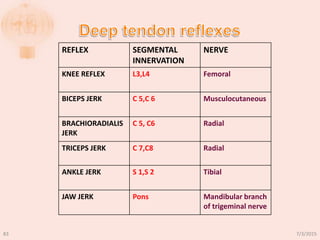 REFLEX SEGMENTAL
INNERVATION
NERVE
KNEE REFLEX L3,L4 Femoral
BICEPS JERK C 5,C 6 Musculocutaneous
BRACHIORADIALIS
JERK
C 5, C6 Radial
TRICEPS JERK C 7,C8 Radial
ANKLE JERK S 1,S 2 Tibial
JAW JERK Pons Mandibular branch
of trigeminal nerve
7/3/201583
 