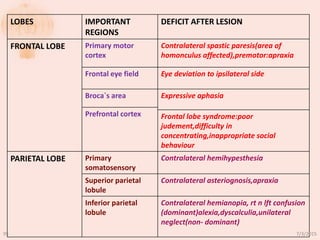 LOBES IMPORTANT
REGIONS
DEFICIT AFTER LESION
FRONTAL LOBE Primary motor
cortex
Contralateral spastic paresis(area of
homonculus affected),premotor:apraxia
Frontal eye field Eye deviation to ipsilateral side
Broca`s area Expressive aphasia
Prefrontal cortex Frontal lobe syndrome:poor
judement,difficulty in
concentrating,inappropriate social
behaviour
PARIETAL LOBE Primary
somatosensory
Contralateral hemihypesthesia
Superior parietal
lobule
Contralateral asteriognosis,apraxia
Inferior parietal
lobule
Contralateral hemianopia, rt n lft confusion
(dominant)alexia,dyscalculia,unilateral
neglect(non- dominant)
7/3/201595
 