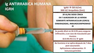 RABIA SESION EPIDEMIOLOGIA PREVENCION TRATAMIENTO | PPTX