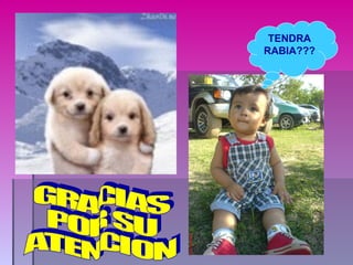 TENDRA RABIA??? GRACIAS POR SU ATENCION 