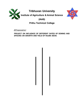 RESEARCH TITLE:
Tribhuvan University
Institute of Agriculture & Animal Science
(IAAS)
Prithu Technical College
AProposalon:
PROJECT ON INFLUENCE OF DIFFERENT DATES OF SOWING AND
SPACING ON GROWTH AND YIELD OF RAJMA BEAN.
 