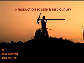 By
RAVI BANJADE
ROLL NO : 20
INTRODUCTION TO SEED & SEED QUALITY
 
