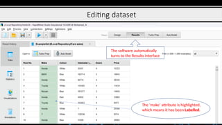 Editing dataset
The software automatically
turns to the Results interface
The ‘make’ attribute is highlighted,
which means it has been Labelled.
 
