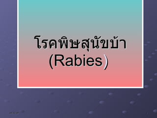 โรคพิษสุนัขบ้า  (Rabies )  