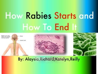 How Rabies Starts and
   How To End It


   By: Alaysia,Richard,Katelyn,Reilly
 