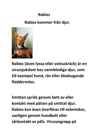 Rabies
Rabies kommer från djur.

Rabies (även lyssa eller vattuskräck) är en
virussjukdom hos varmblodiga djur, som
till exempel hund, räv eller blodsugande
fladdermöss.

Smittan sprids genom bett av eller
kontakt med pälsen på smittat djur.
Rabies kan även överföras till människor,
vanligen genom hundbett eller
sårkontakt av päls. Virusangrepp på

 