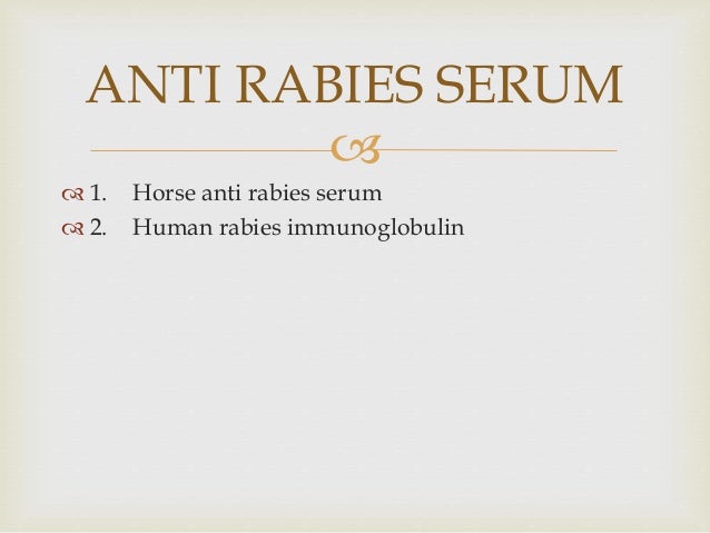 rabies rabies