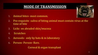 Rabies | PPTX